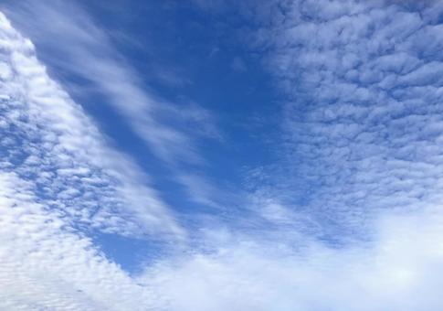 秋の空と鱗雲 秋の空と鱗雲の写真