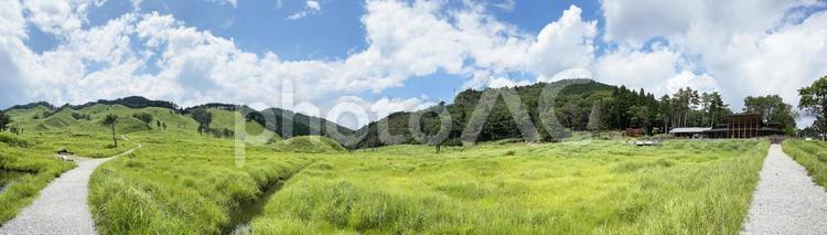 大草原のパノラマ風景 自然,パノラマ,風景の写真素材