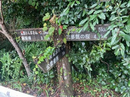 道標 近畿自然歩道 伊勢奥津 三重県 道標 近畿自然歩道 伊勢奥津 三重県の写真