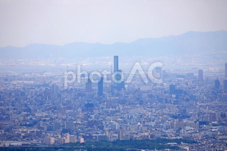 高安山から見た大阪市街地 大阪,街並み,町並みの写真素材