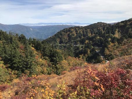 白山白川郷ホワイトロードの紅葉4 白山白川郷ホワイトロードの紅葉4 白山白川郷ホワイトロード,ドライブウェイ,白山の写真素材