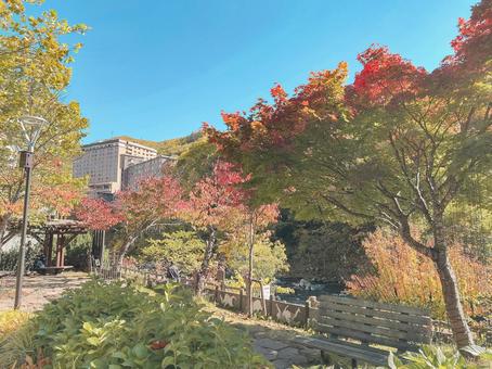 紅葉に包まれた秋の情景 紅葉に包まれた秋の情景 紅葉,秋,もみじの写真素材