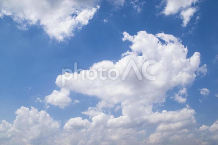爽やかな青空と白い綿雲 夏空,青空,雲の写真素材