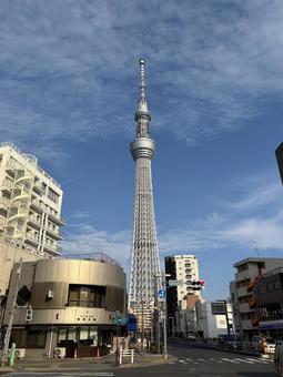東京スカイツリー 東京スカイツリーの写真