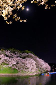 千鳥ヶ淵の桜と月 千鳥ヶ淵の桜と月の写真
