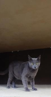 みつかっちゃった みつかっちゃったの写真