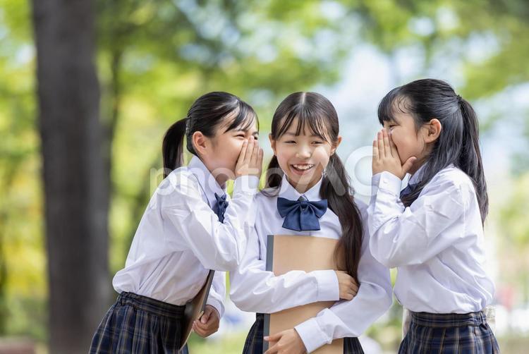制服を着た笑顔の女子学生 仲良し,楽しい,制服の写真素材