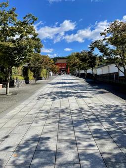 晴れた日の伏見稲荷神社の参道と赤い楼門 神社,参道,境内の写真素材