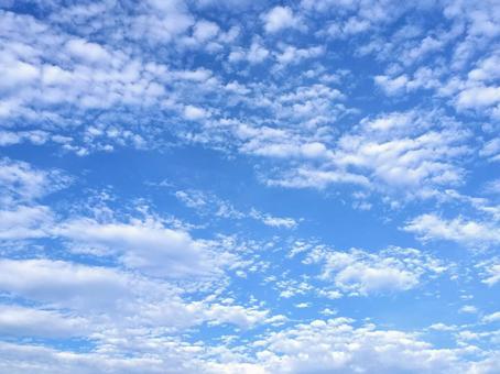 均等に雲が浮かぶ青空 均等に雲が浮かぶ青空の写真