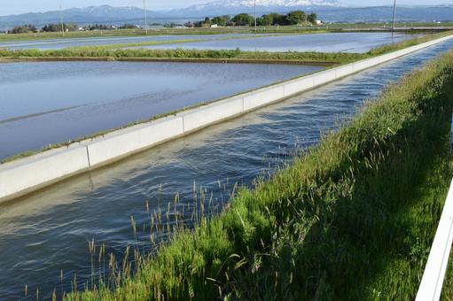 農業用水路 山形県庄内 農業用水路 山形県庄内 農業用水路,用水路,農業用水の写真素材