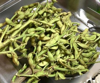 枝豆 枝豆,食べ物,豆の写真素材