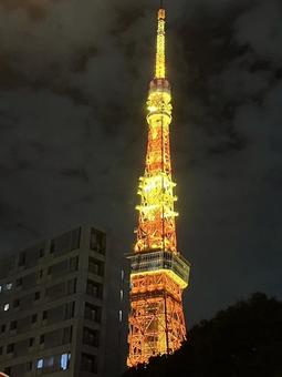 東京タワー 東京タワーの写真