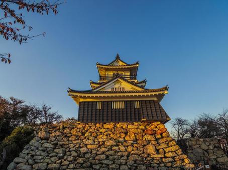【静岡県】浜松市・浜松城 浜松城,浜松市,浜松城公園の写真素材