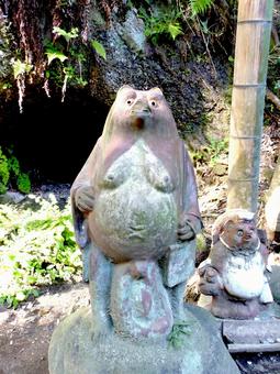 北鎌倉・浄智寺境内に佇む信楽焼タヌキ２ たぬき,置き物,焼き物の写真素材
