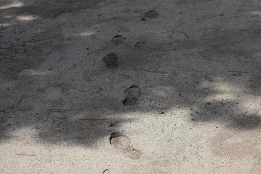足跡のある砂浜 足跡のある砂浜の写真