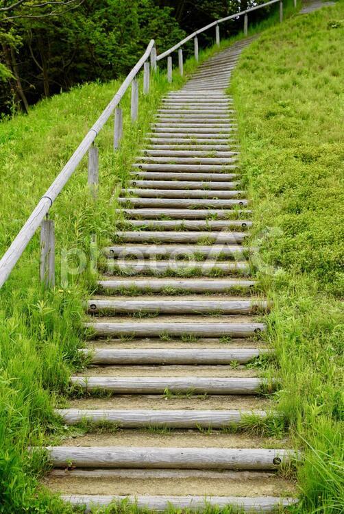 木の階段 木,階段,緑の写真素材
