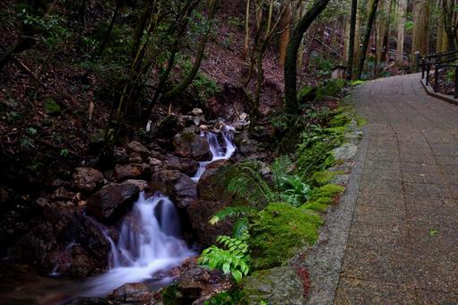 Clear stream and road, rừng, dòng chảy của nước, một cách tự nhiên, JPG