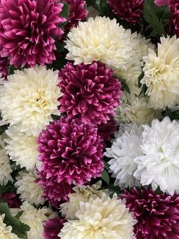 菊の造花 菊の造花 菊,造花,花の写真素材