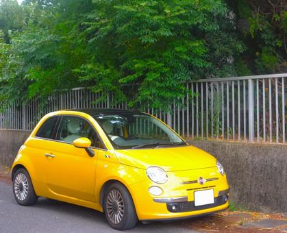 青葉の下のイタ車 車,青葉,柵の写真素材