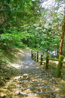 Photo, mountain path, hiking, the trees, 