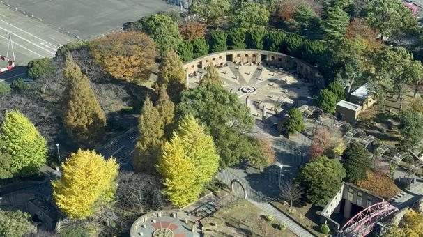 マリンタワーから見た秋の風景 マリンタワーから見た秋の風景 横浜,山下公園,秋の写真素材
