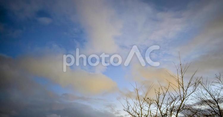 春を待つ桜と冬の夕焼け 空,日没,夕暮れの写真素材