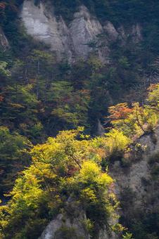 白岩の秋⑷ 秋,黄葉,紅葉の写真素材