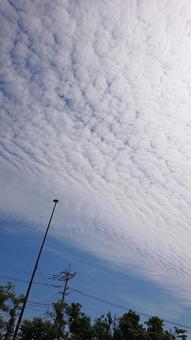 秋の空 秋の空の写真