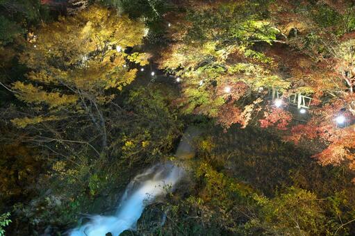 宮崎県三股町の長田峡の紅葉ライトアップ 宮崎県,三股町,長田峡の写真素材