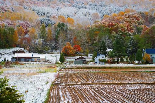 「秋から冬への里山」 「秋から冬への里山」の写真