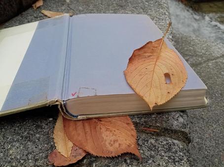 秋の読書 秋の読書の写真