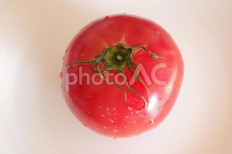 上から見た水滴のついた完熟トマト トマト,完熟,とまとの写真素材