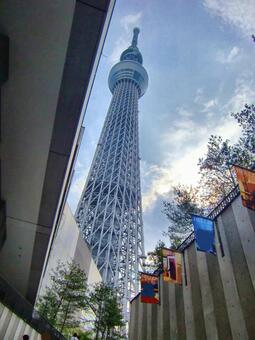 曇り日の東京スカイツリー-196 東京スカイツリー,曇り日,雲の写真素材