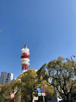 Photo, townscape, imabari, ehime, 