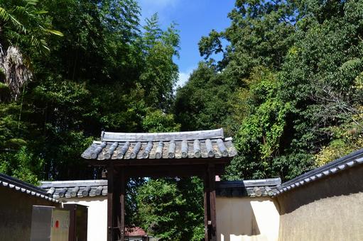 門と緑 門と緑 門扉,瓦,風景の写真素材