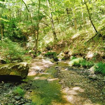 御堂新田の滝の風景 2025 御堂新田の滝の風景 2025の写真