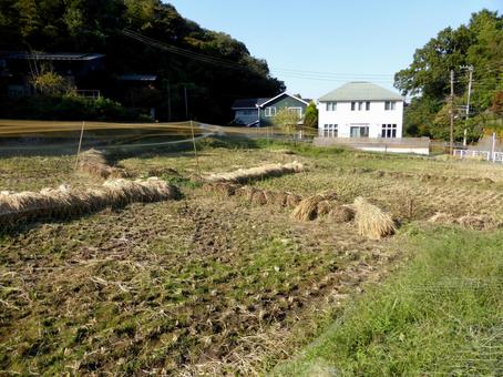 10月、郊外で収穫を終えた田畑の風景 田畑,田んぼ,水田の写真素材