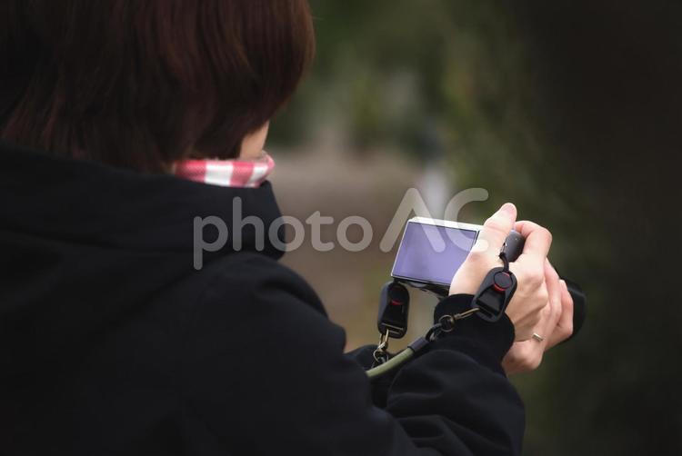 ＜人物＞森の中で写真撮影をする女性写真家 女性,カメラマン,カメラ女子の写真素材