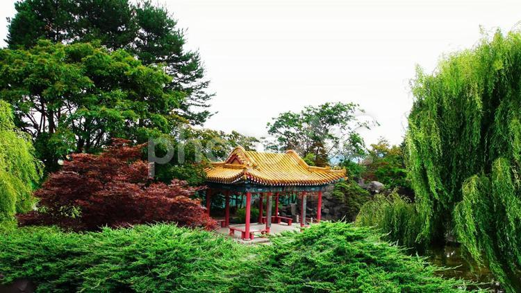 人気沸騰の中国庭園 お庭,かわら,カワラの写真素材