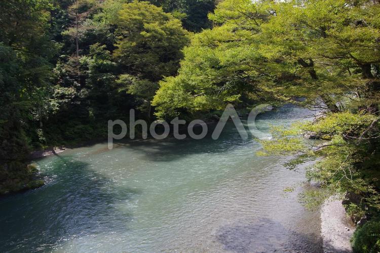 御岳渓谷（沢井周辺） 御岳渓流,渓谷,多摩川の写真素材
