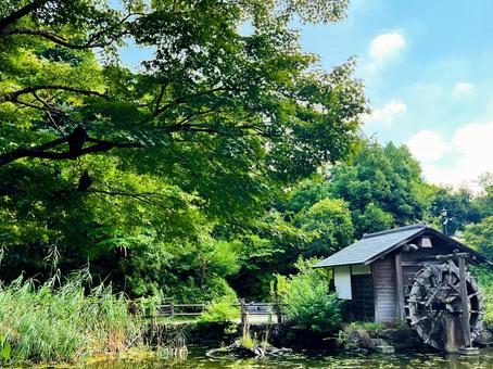鍋島松濤公園水車小屋 空,渋谷,公園の写真素材