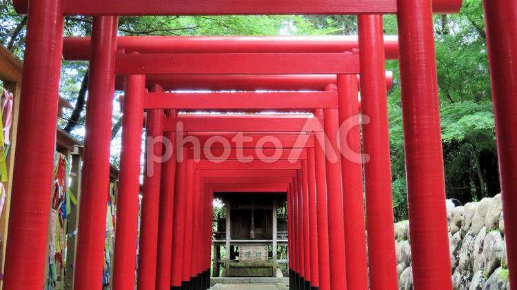 法多山尊永寺敷地内　双葉神社の赤鳥居 赤鳥居,初夏,新緑の写真素材