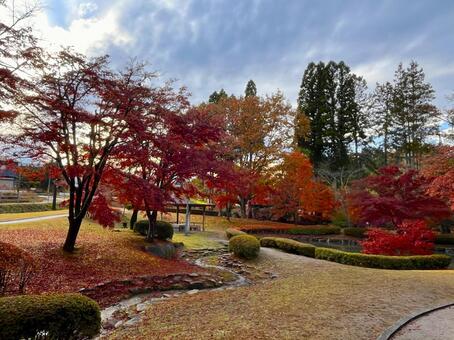 秋の風景 紅葉,黄葉,もみじの写真素材