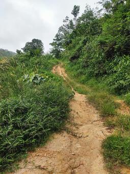 road, JPG road, JPG