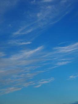Photo, summer, blue sky, white clouds, 