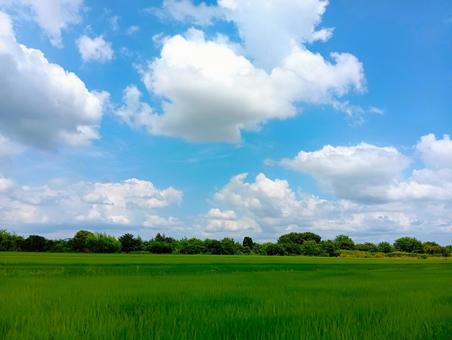 Summer landscape, JPG Summer landscape, JPG