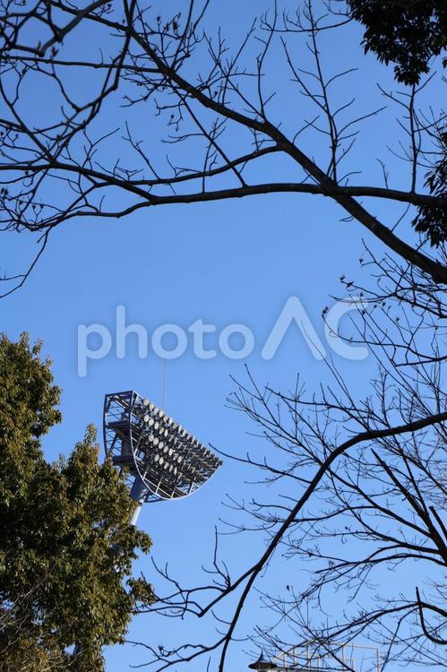 スタジアムの照明塔 照明塔,スタジアム,空の写真素材