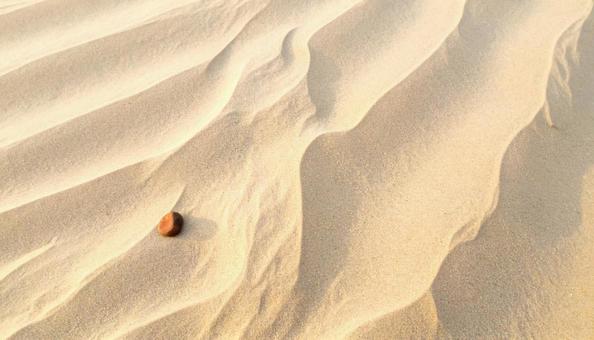 砂浜　自然の写真