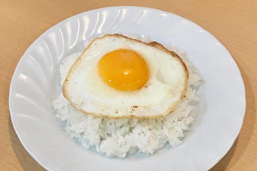 ごはんと目玉焼き ごはん,目玉焼き,食器の写真素材