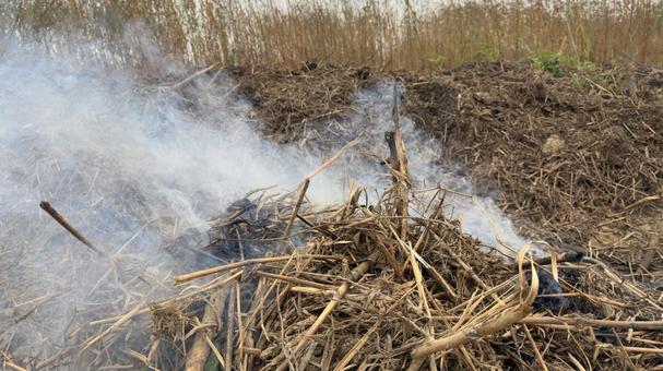草むら野焼きの炎と煙 焼く,枯れ草,野焼の写真素材